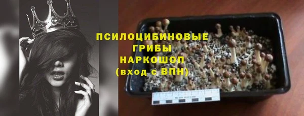 гидропоника Абаза