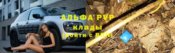 стафф Абдулино